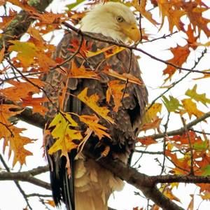 Meet your Posher, Keith